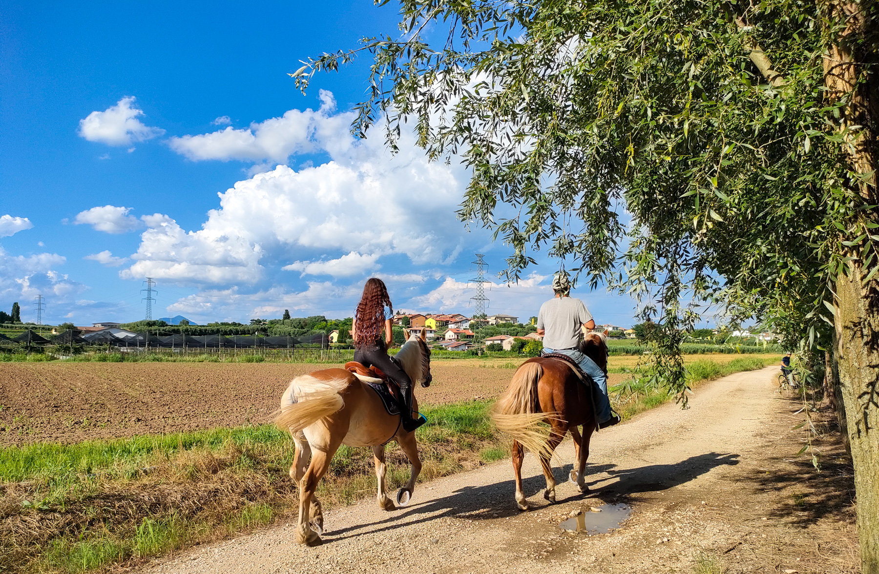 Reiten mit Picknick in der Landschaft von Lazise